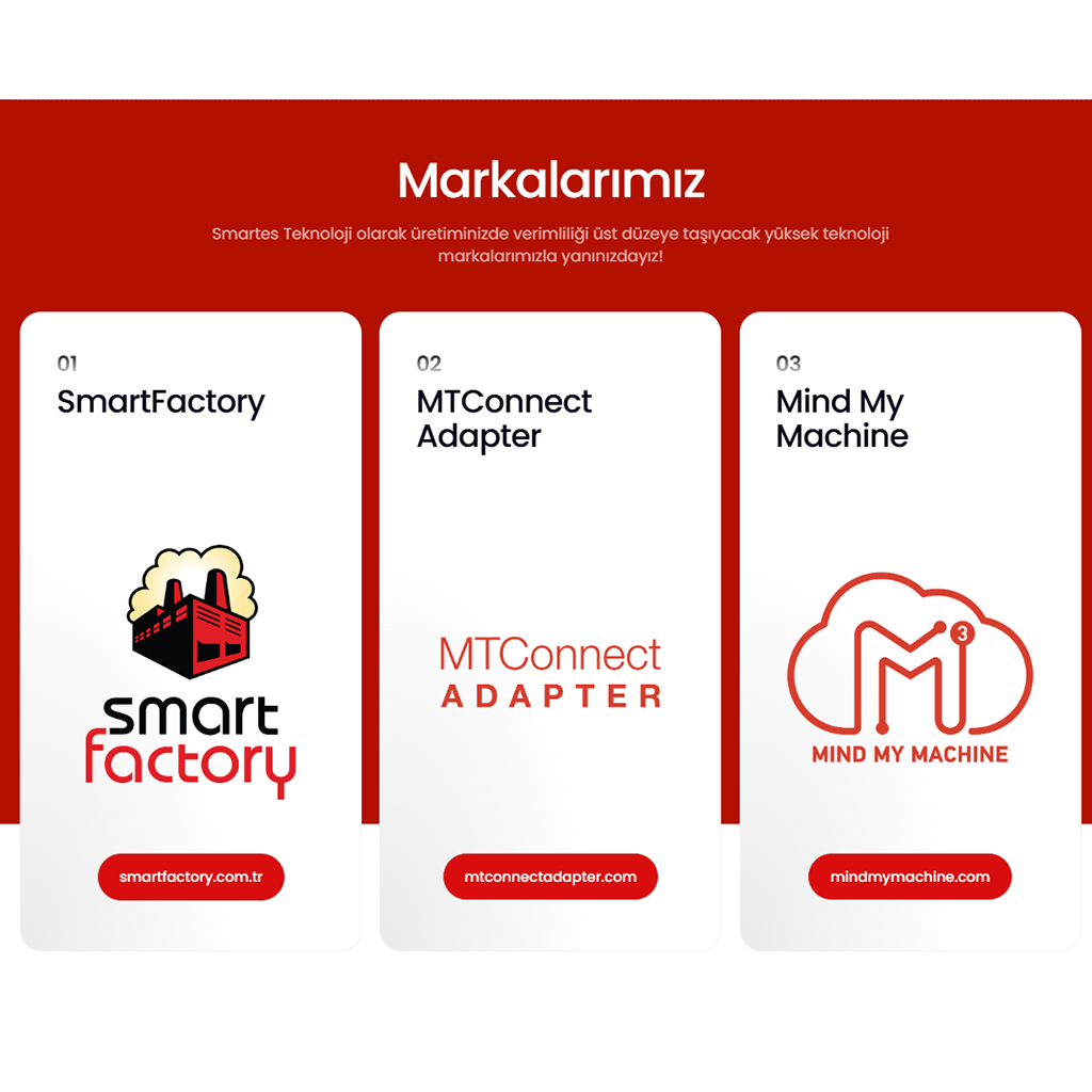 smartes-web-1