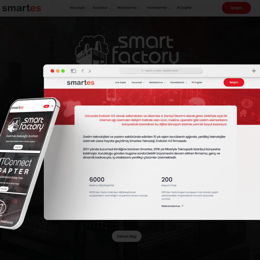 smartes-web