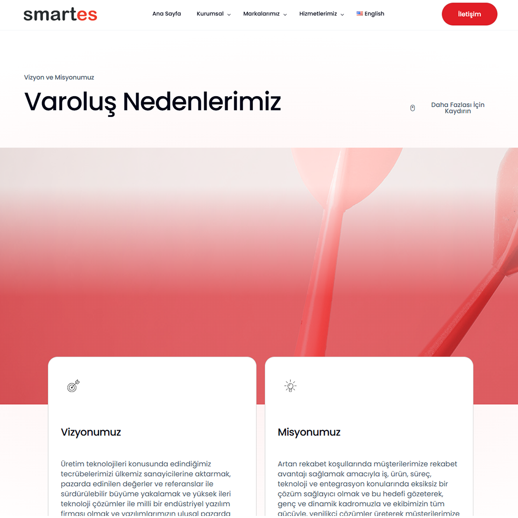 smartes-web-2